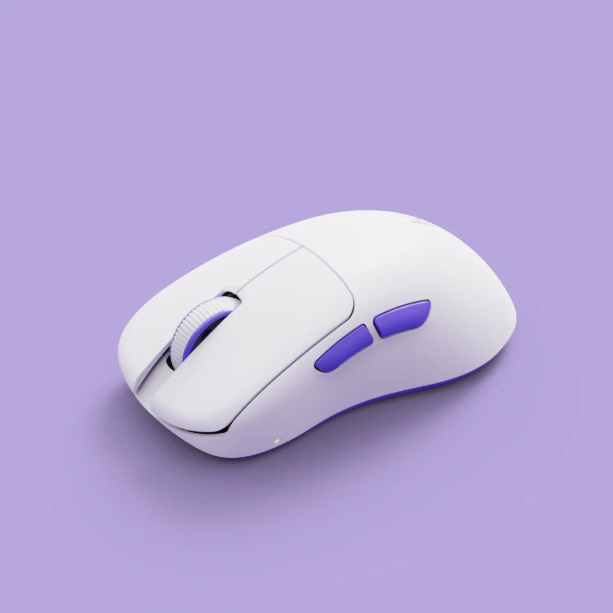 Mouse